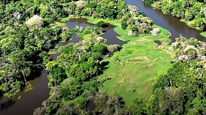 Prime Video Releases 'Brazil Untamed' Season 1, Exploring Pantanal's Unique Wildlife