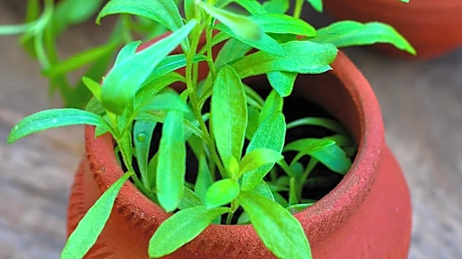 POTS Diagnoses Surge Post-COVID-19 Pandemic, Driven by Increased Awareness and Post-Infectious Illness