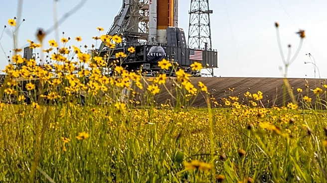 NASA Interns Contribute to Space Exploration and Deorbit Vehicle Development