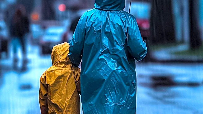 Olmsted County Experiences Rainy and Cooler Conditions This Week