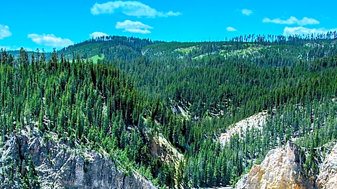 Yellowstone National Park Seeks Project Archivist for Cultural Resources Program
