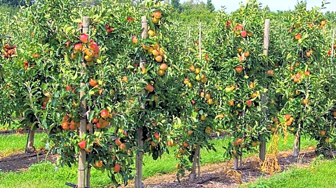 Orange County, New York, Promotes Year-Round Agritourism as Key Regional Attraction