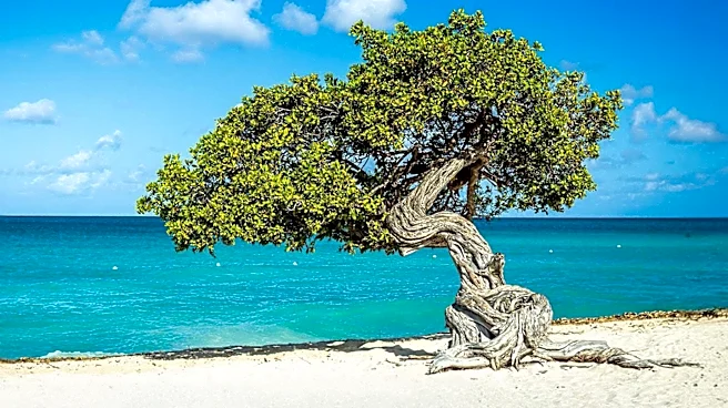 Aruba's MEP Leader Criticizes Government Inaction on Overtourism, Urges Sustainable Strategy