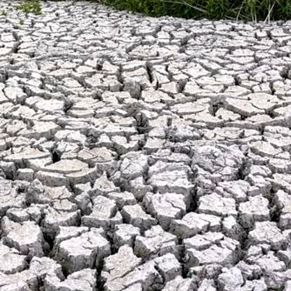 USDA Awards Grant to Binghamton University for Drought Impact Research on Lawns