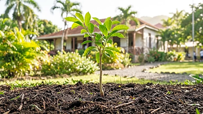 Peace Corps Celebrates 65 Years of Service in Eastern Caribbean, Highlighting Agricultural Development
