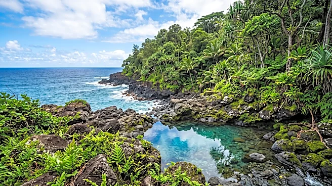 Hawai'i's Green Fee Advisory Council to Increase Public Input for Project Recommendations