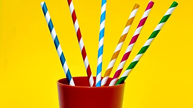 South Korean Study Reveals Paper Straws Have Higher Environmental Impact Than Plastic in Key Categories