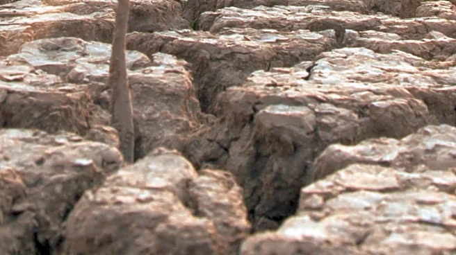 El Niño Drives Extreme Weather in Chile, Threatening Mining and Agriculture
