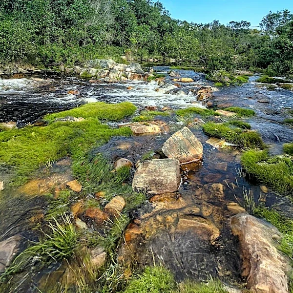 Northumberland National Park Boasts UK's Cleanest Rivers, Outperforming Other National Parks