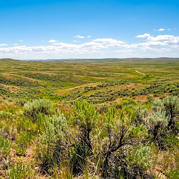 Secretary Burgum Signs Order to Expand Grazing Opportunities and Support American Ranchers
