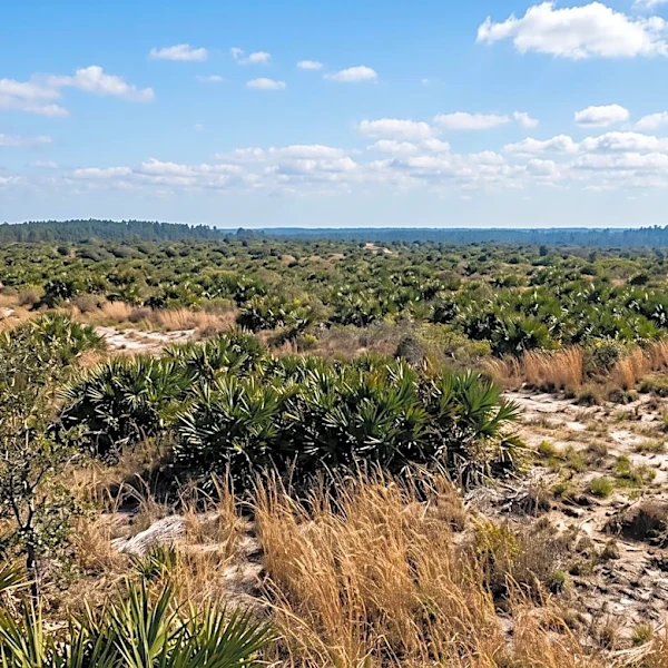 Florida Rep. Brian Mast's Company Receives Agricultural Tax Credit for Undeveloped Land