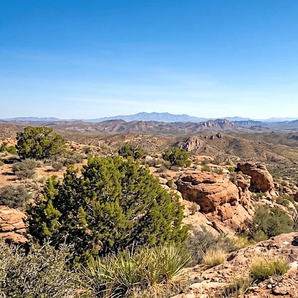 Arizona Experiences Record-Low Wildfire Acres Burned in 2026, Crews Remain Vigilant