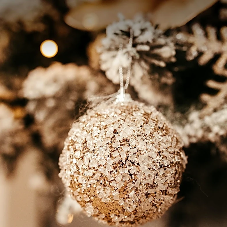 North Dakota First Lady Kjersti Armstrong Invites Public Ornament Submissions for State Christmas Tree Lighting Ceremony