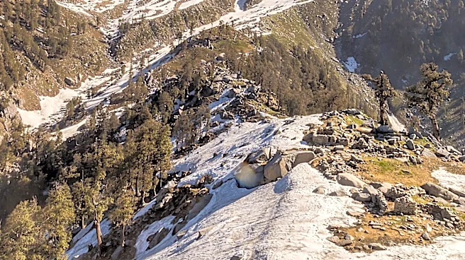 Merriam-Webster Defines 'Snowpack' as Seasonal Accumulation of Slow-Melting Snow