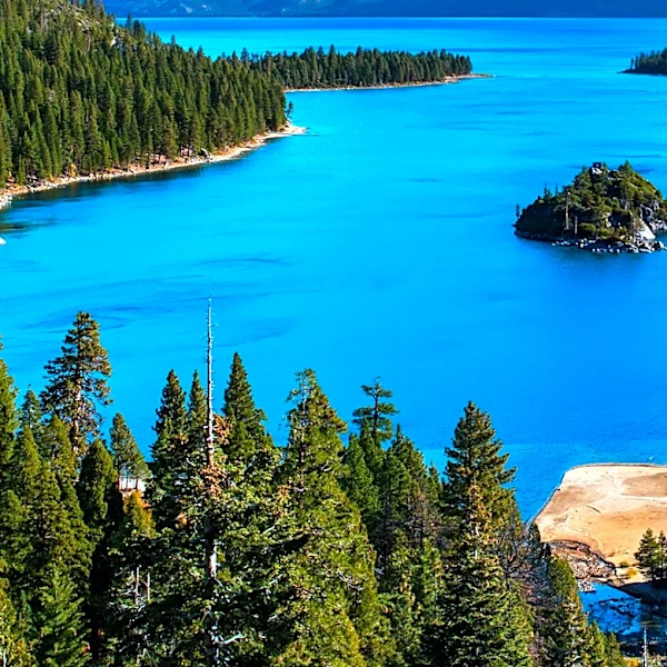 Tahoe National Forest Announces Online Christmas Tree Permit Sales for 2026 Season