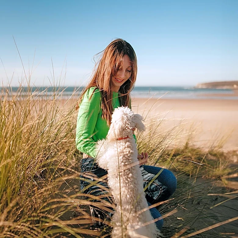 American Kennel Club Emphasizes Responsible Dog Ownership Amidst Havanese Breed Revival