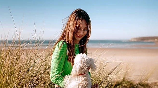 American Kennel Club Emphasizes Responsible Dog Ownership Amidst Havanese Breed Revival