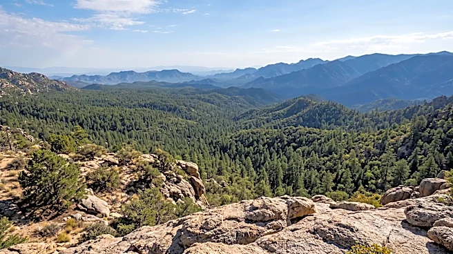Arizona Experiences Record-Low Wildfire Activity in 2026, Fire Crews Remain Vigilant