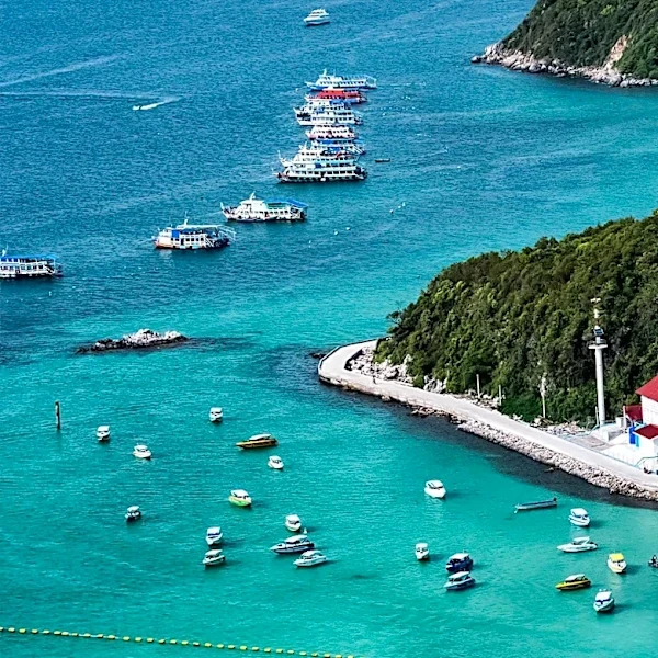 Caribbean Region Continues to Attract Tourists with Diverse Eco-Tourism Offerings
