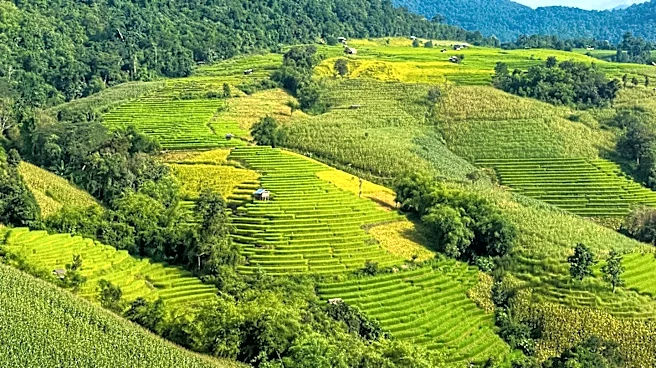 Climate Change Projected to Reduce Key Crop Production in Southeast Asia, Study Finds