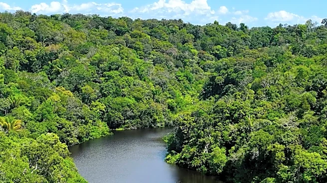 Conservation Funders Pledge $12.5 Million for Guyana's Forest Protection