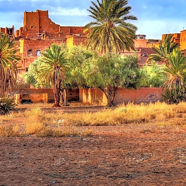 MEDFORGEN Workshop in Morocco Fosters Mediterranean Forest Conservation and Collaboration