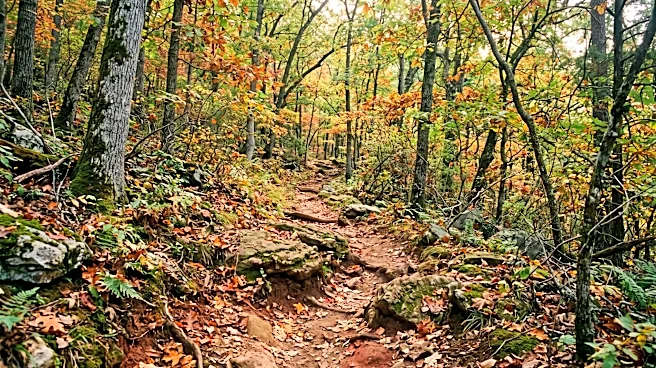 Representative Bruce Westerman Highlights Arkansas's Natural Beauty and Impact of EXPLORE Act