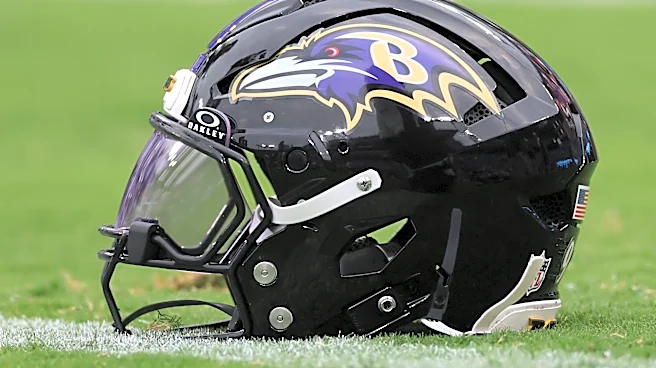 Ravens' training camp: Who are newcomers to the 90-man roster in 2026?
