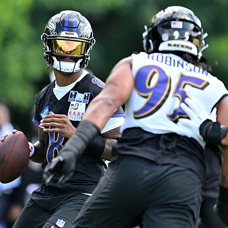 Ravens use exhausting practice periods to develop resilience