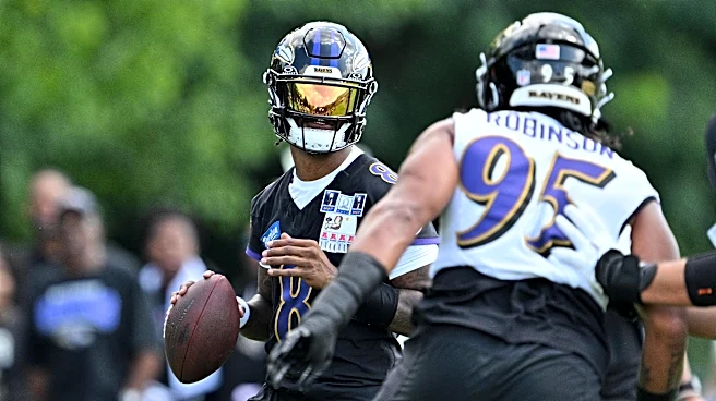 Ravens use exhausting practice periods to develop resilience