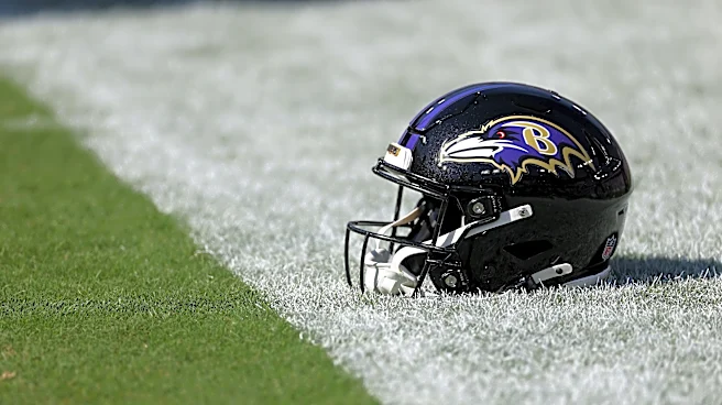 Declan Doyle has spent his entire life preparing for the Ravens job