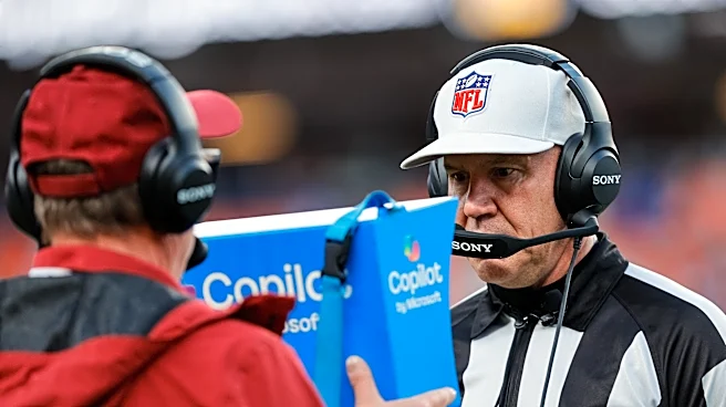 Ravens-Saints referee report: What to know about Clete Blakeman