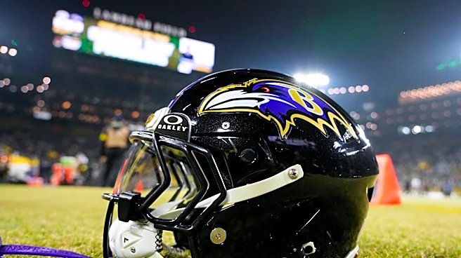 Ravens face major injury questions before departing for Brazil