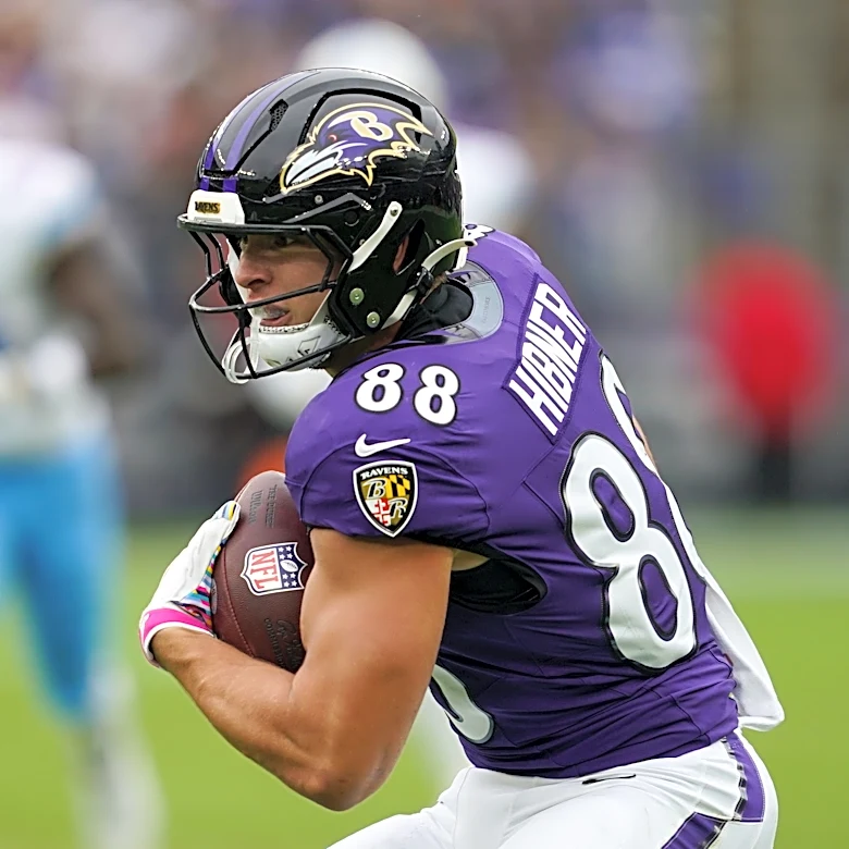 Ravens TE Matt Hibner carted off, listed as questionable with hand injury