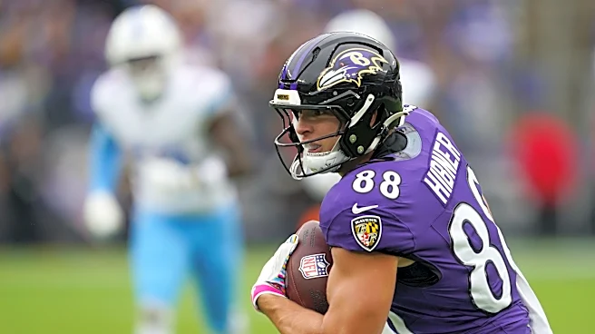 Ravens TE Matt Hibner carted off, listed as questionable with hand injury