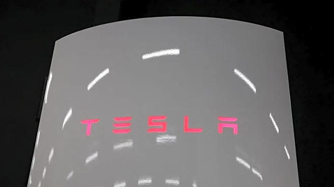 Tesla's North American director of service leaves EV maker