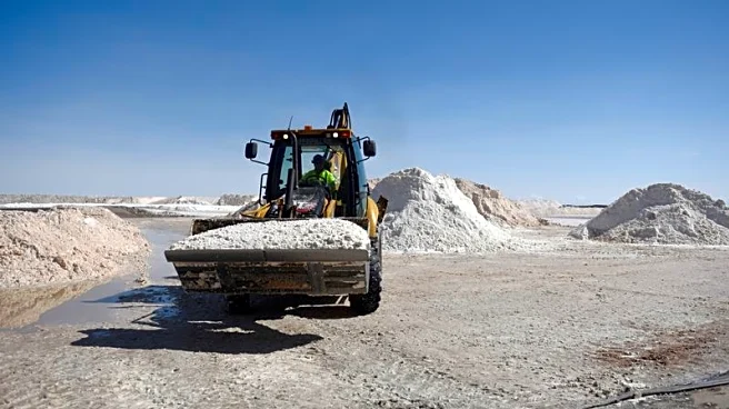 Lithium stocks rally as CATL mine halt raises prospects of tighter supply