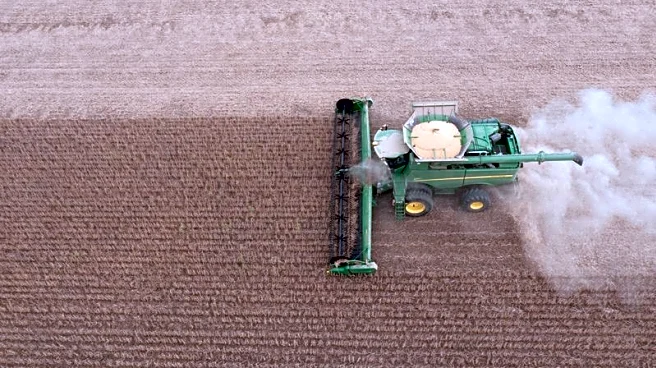 US losing out on China soybean sales as Brazil fills key supply period