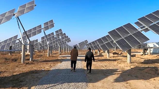 China's solar power capacity growth to slow in H2 after pricing reforms