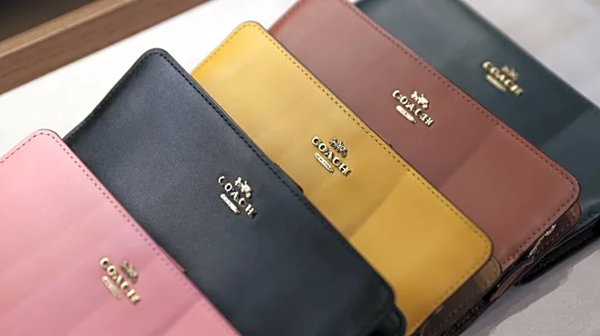 Tapestry quarterly revenue likely rose 5.5% as Coach bags drew young shoppers