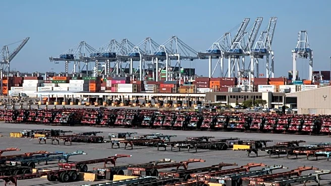 US container imports may have peaked in July, chief of busiest seaport says