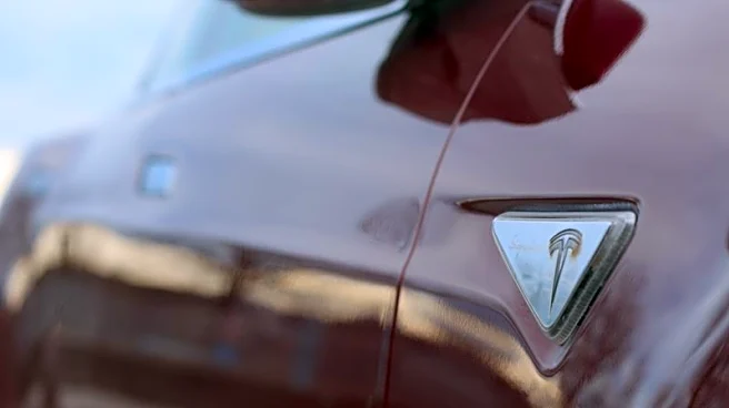 'Tesla shame' bypasses Norway as sales jump despite Musk's politics