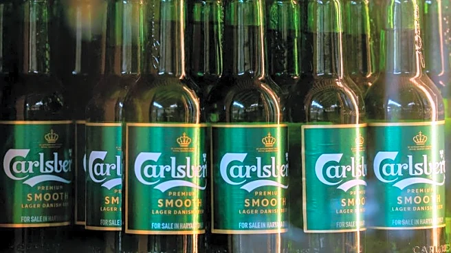 Carlsberg misses first-half forecasts, warns of difficult year