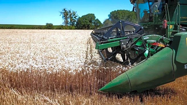 Deere's quarterly profit falls as US tariffs hit farm equipment margins