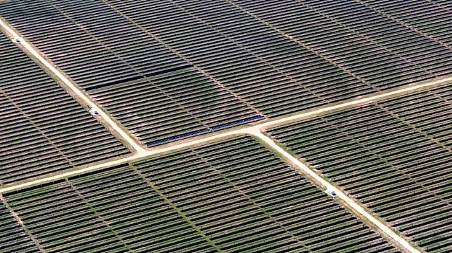 Trump administration to unveil tougher solar and wind subsidy rules