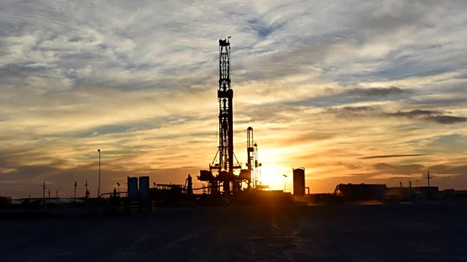 Trump names Rosner as chair of energy regulator