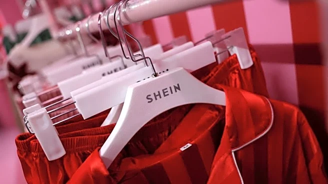 Shein's UK sales surge to $2.8 billion in 2024, boosting profits as IPO looms