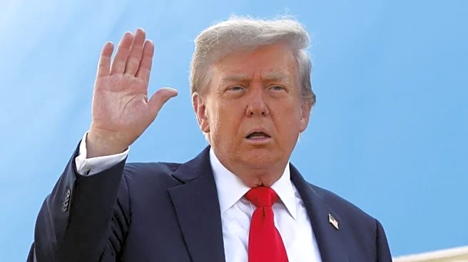 Trump says it will be up to Ukraine to decide on territorial swaps