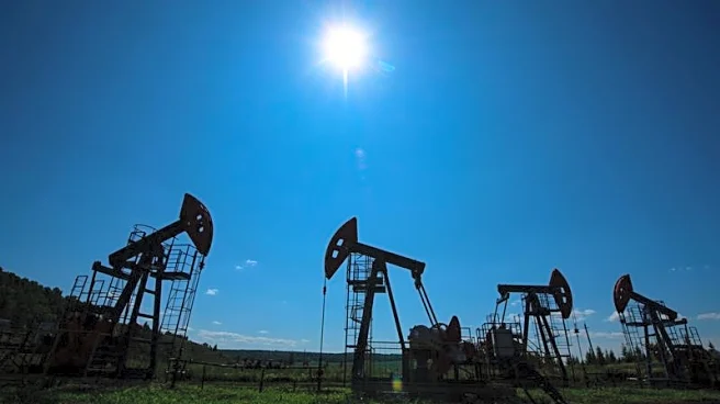 Oil markets seen bearish after Trump-Putin Alaska meeting