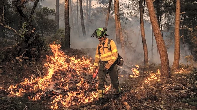 Pilgrimage route cut as Spanish wildfires spread to Picos de Europa mountains